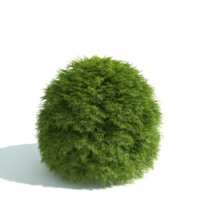 现代绿植 3D模型