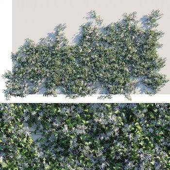 茉莉花藤蔓植物墙3D模型