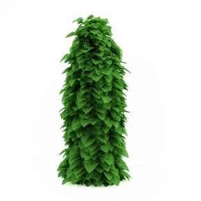绿植植物3D模型