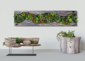 中式植物墙根雕木雕木刻组合3D模型
