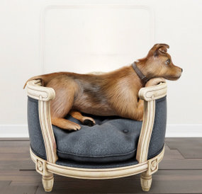 欧式单人沙发宠物狗组合3D模型