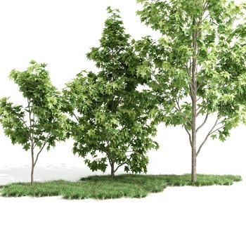 树木绿植3D模型