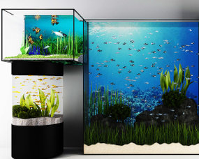 现代鱼缸组合3D模型