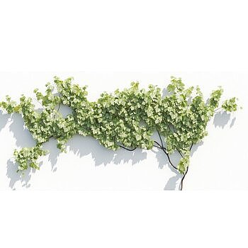 现代藤蔓植物3D模型