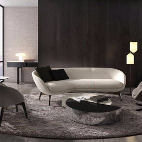 意大利MINOTTI品牌现代组合沙发3D模型