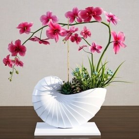 现代蝴蝶兰盆栽3D模型