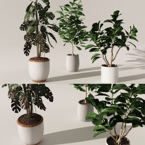 现代绿植盆栽组合3d模型
