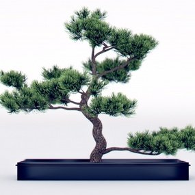 新中式松树盆栽3d模型