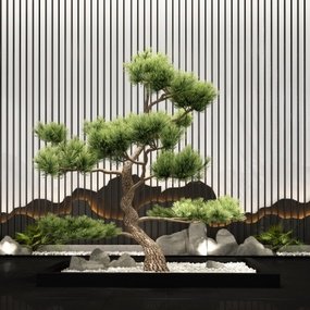 中式庭院观赏松树园艺小品3d模型