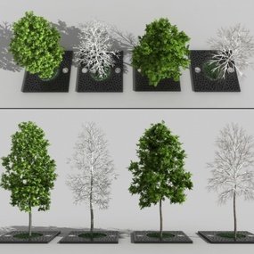 现代景观树雪树3d模型