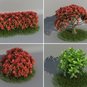 现代灌木丛3d模型