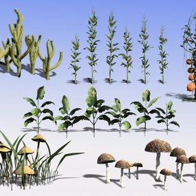 现代植物花草蘑菇玉米南瓜3d模型