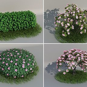 现代灌木花丛3d模型