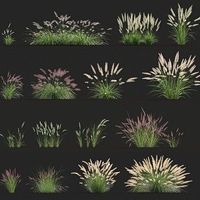 现代花草3d模型