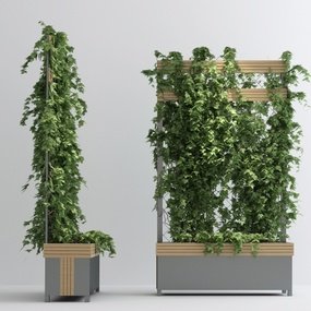 现代植物藤蔓3d模型