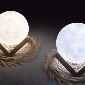现代月球造型台灯3d模型