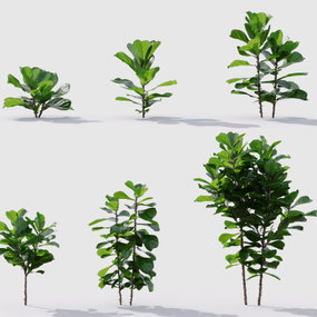 现代绿植花草3d模型