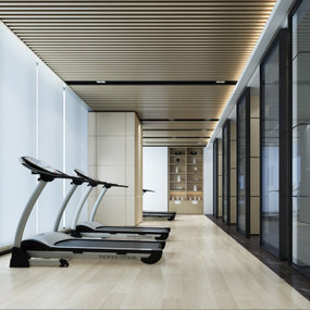 意巢设计 新中式健身房跑步房3d模型