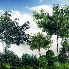 现代树木灌木草丛花坛3d模型