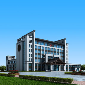 新中式医院办公楼建筑外观3d模型