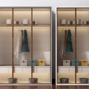 现代玻璃门衣柜3d模型