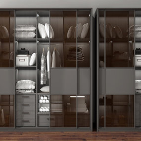 现代玻璃推拉门衣柜3d模型