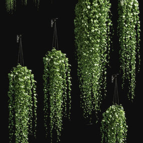 现代悬挂植物盆栽3d模型