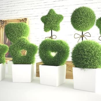 现代装饰植物盆栽组合3D模型