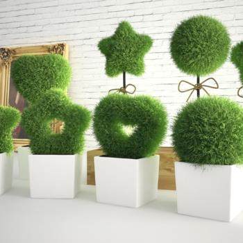 现代装饰植物盆栽组合3D模型