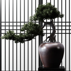 新中式松树盆栽3d模型