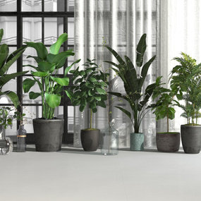 现代绿植盆栽3d模型