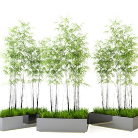 现代竹子盆栽3d模型