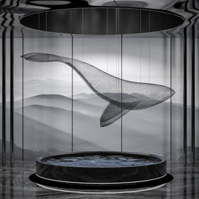 现代艺术鲸鱼天花装置雕塑3d模型