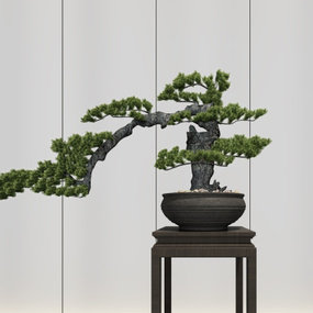 新中式松树植物盆栽3d模型