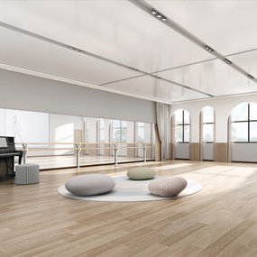 现代舞蹈室音体室3d模型