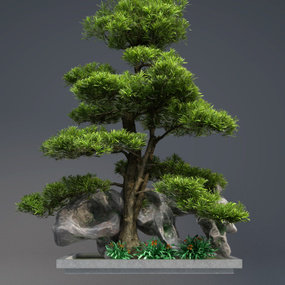 现代岩石松树园艺小品3d模型