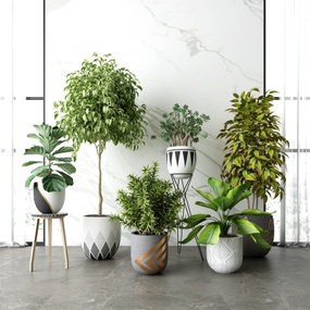 现代室内盆栽3d模型