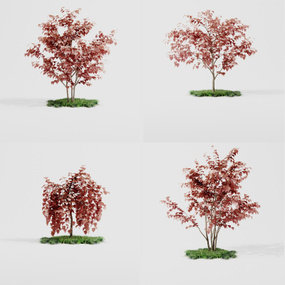 现代红枫室外树3d模型