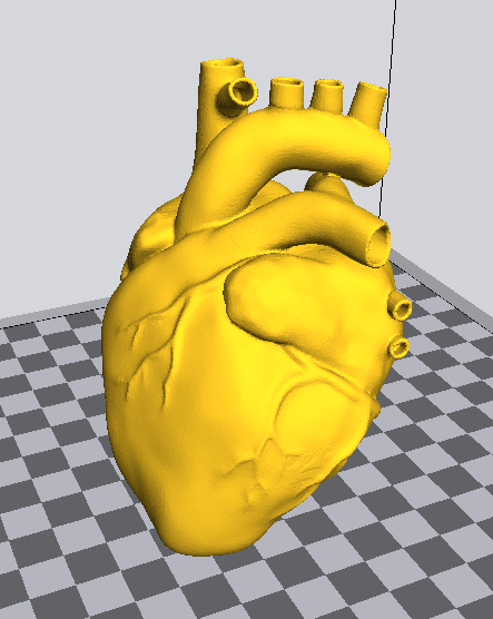 人类心脏3d打印模型
