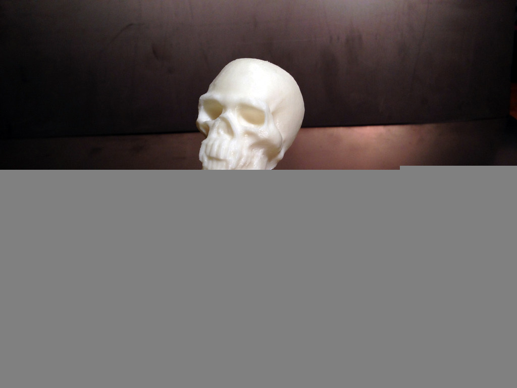 带尖牙的骷髅模型 by 99665362 3D打印模型