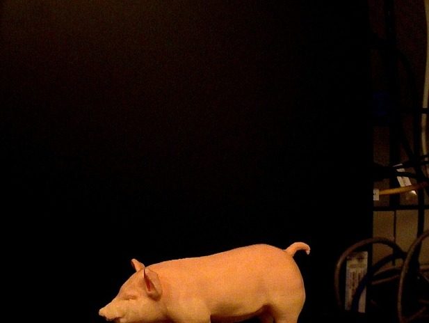 3D扫描的小猪雕像 by 三个牛叫什么 3D打印模型