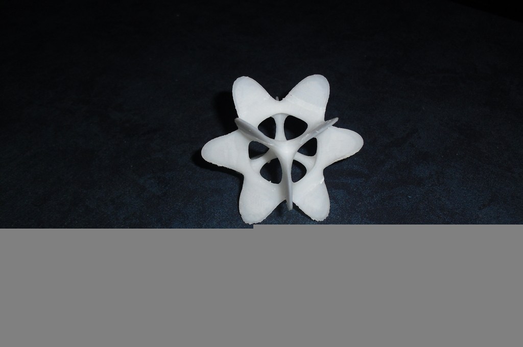 3d花瓣 by 今天是个好日子 3D打印模型