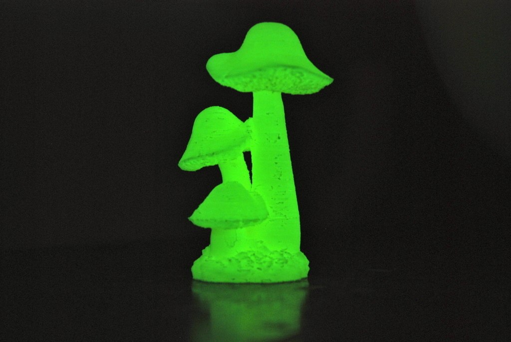 阿泰克扫描得到的蘑菇 by 康王~ 3D打印模型