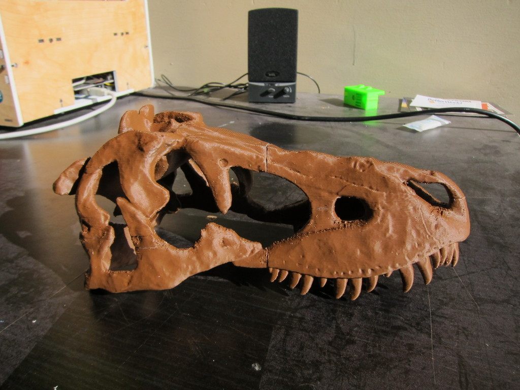 恐龙头盖骨模型 by MakerbotR2 3D打印模型