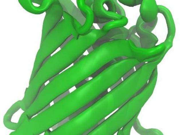绿色荧光蛋白结构模型 by 彪悍人生 3D打印模型