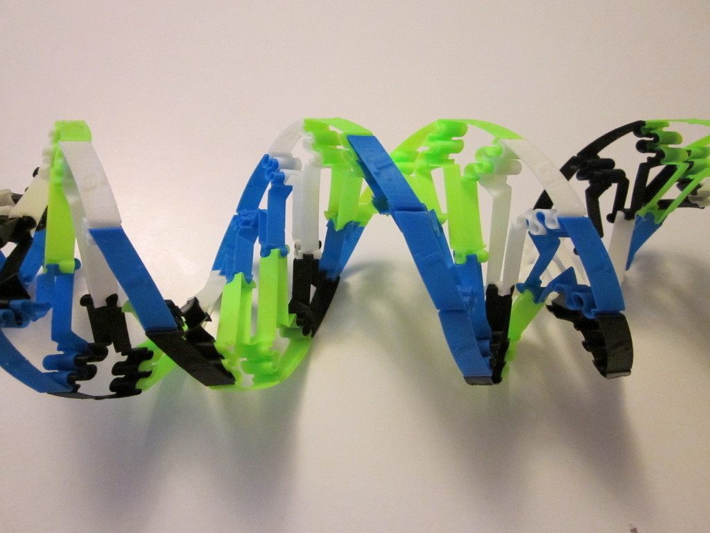DNA模型 by tianya_tt 3D打印模型