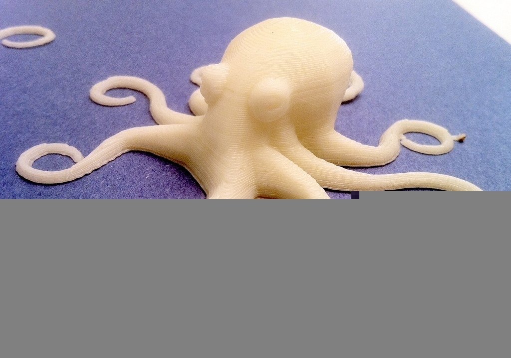 著名的八爪鱼 by 韩雪儿 3D打印模型