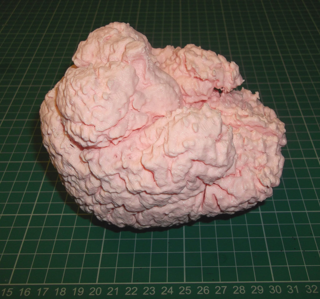 人的大脑 by 婶婶的脑海里 3D打印模型