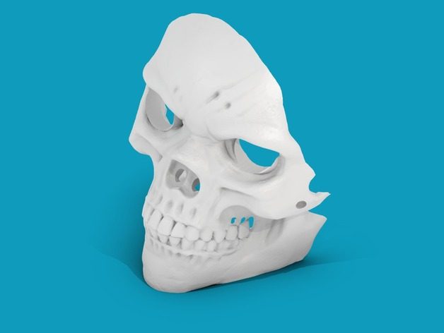 骷髅面具 by 康王~ 3D打印模型