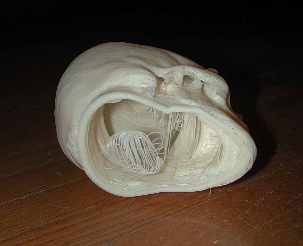 骷髅头，人头骨模型 by fangp3 3D打印模型